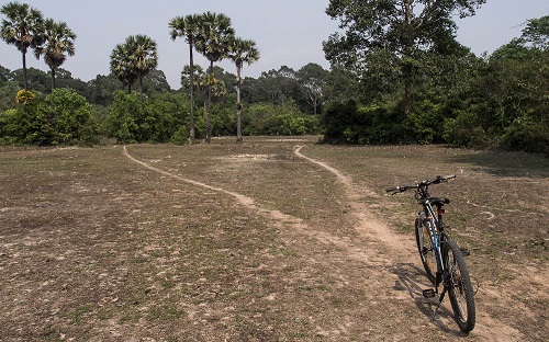 Single tracks of Angkor