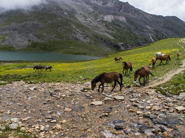 On top of the clouds